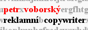 voborsky logo